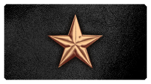 DSC700 430 CP BK Star Copper Black